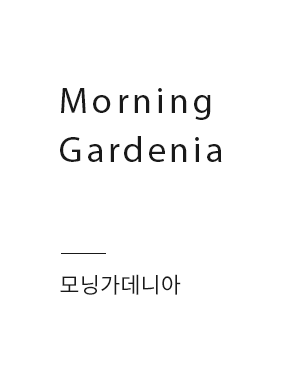 Morning Gardenia